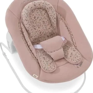 Möbel Hauck Bouncer 2in1 Für Hochstuhl Alpha, Bambi, Rose Günstig Kaufen 14