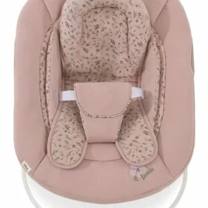 Möbel Hauck Bouncer 2in1 Für Hochstuhl Alpha, Bambi, Rose Günstig Kaufen 16