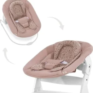 Möbel Hauck Bouncer 2in1 Für Hochstuhl Alpha, Bambi, Rose Günstig Kaufen 18