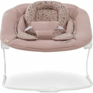 Möbel Hauck Bouncer 2in1 Für Hochstuhl Alpha, Bambi, Rose Günstig Kaufen 20