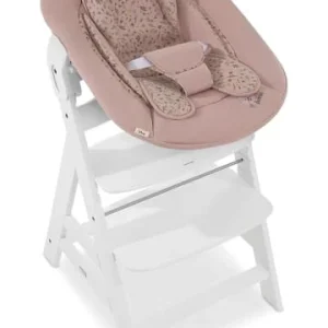 Möbel Hauck Bouncer 2in1 Für Hochstuhl Alpha, Bambi, Rose Günstig Kaufen 28