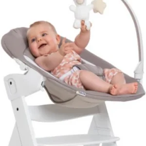 Möbel Hauck Bouncer Deluxe 2in1 Für Hochstuhl Alpha+ Und Beta+ Newborn Set Günstig Kaufen 20