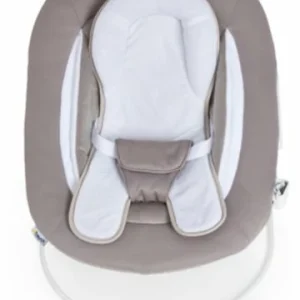 Möbel Hauck Bouncer Deluxe 2in1 Für Hochstuhl Alpha+ Und Beta+ Newborn Set Günstig Kaufen 30