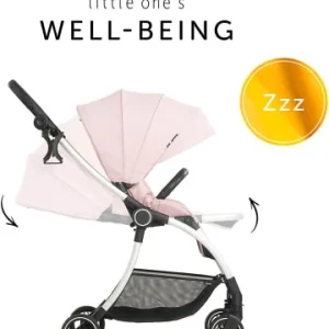 Autositze & Kinderwagen Hauck Buggy Colibri, Melange Rose Günstig Kaufen 18