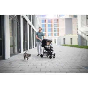 Autositze & Kinderwagen Hauck Buggy Rapid 4, Caviar/silver Günstig Kaufen 18