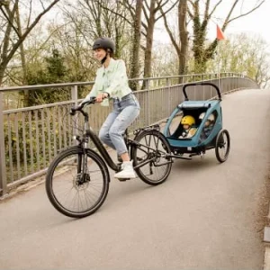 Spielzeug Hauck Dryk Duo Fahrradanhänger Und Buggy (bis 44kg), Petrol, Zweisitzer Günstig Kaufen 16